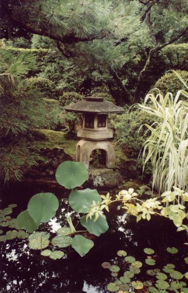Ogrd w klasztorze Myoshinji Sodo / Kyoto