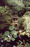 Ogród w klasztorze Myoshinji Sodo / Kyoto